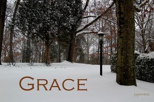 IMG 6156grace560x373