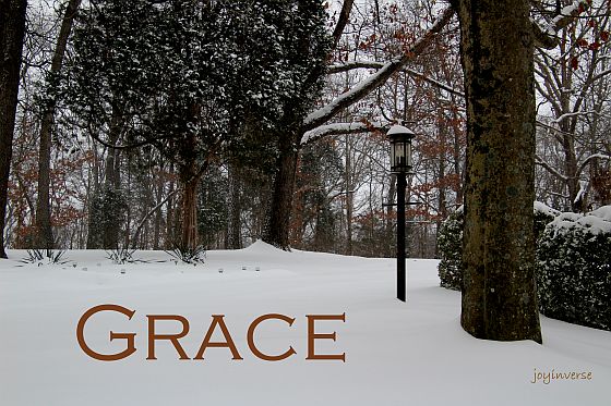 IMG 6156grace560x373