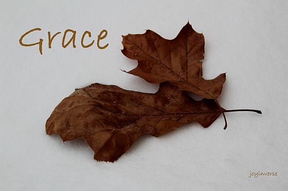 IMG 6166grace560x373