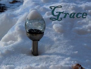 IMG 6175grace560x427