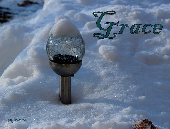 IMG 6175grace560x427
