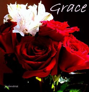 DSC01067grace400x427