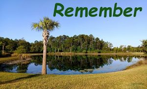 IMG 20250430 081030 9remember560x342