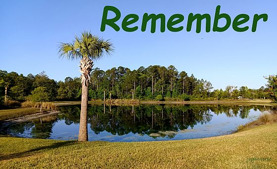 IMG 20250430 081030 9remember560x342