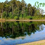 IMG 20250430 081108 6grace560x420