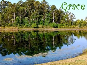 IMG 20250430 081108 6grace560x420