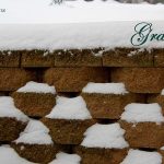 IMG 6161grace560x417