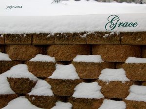 IMG 6161grace560x417