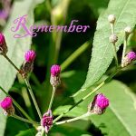 IMG 20240814 090756 052remember560c366