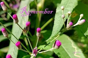 IMG 20240814 090756 052remember560c366