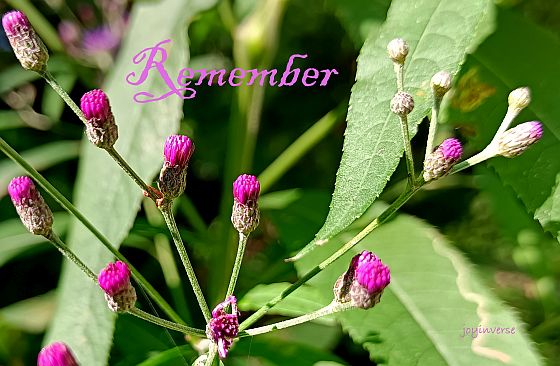 IMG 20240814 090756 052remember560c366