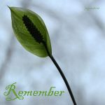 IMG 6085remember420x418