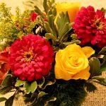 IMG 6141remember560x373