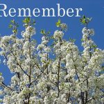 DSC01180remember560x420