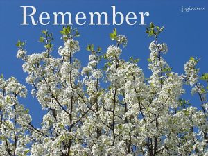 DSC01180remember560x420