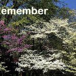 IMG 3442remember560x420