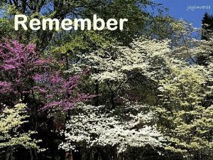 IMG 3442remember560x420