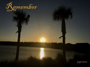 IMG 3648remember560x420