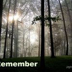 IMG 4833remember530x432