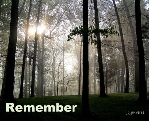 IMG 4833remember530x432