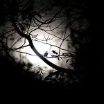 IMG 4851remember560x373