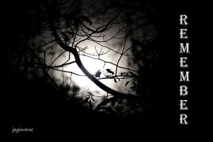 IMG 4851remember560x373