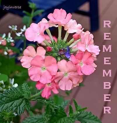 IMG 20240829 072520 553remember400x420