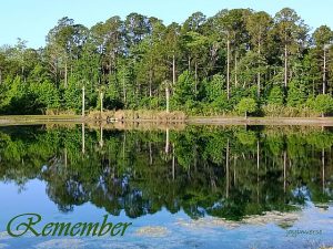 IMG 20250430 081104 3remember560x420