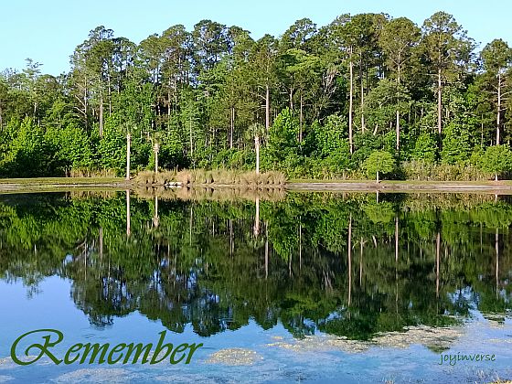 IMG 20250430 081104 3remember560x420