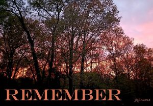 IMG 20260416 193208 458remember560x386