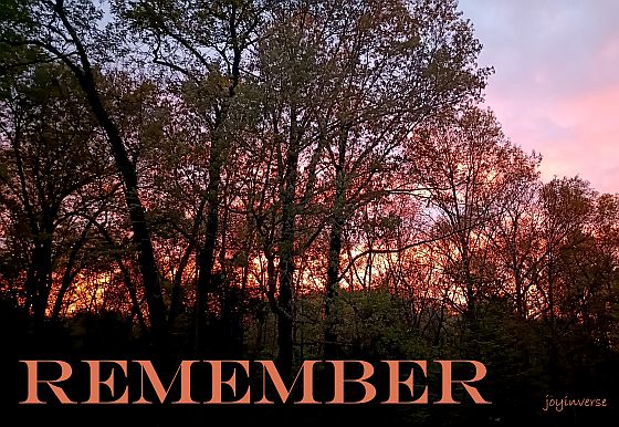 IMG 20260416 193208 458remember560x386