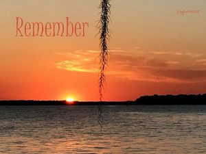 IMG 3519remember560x420