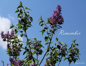 IMG 0500remember560x430
