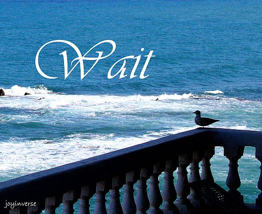 IMG 0615wait520x424