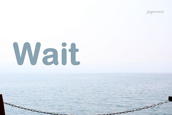 IMG 0804wait560x373