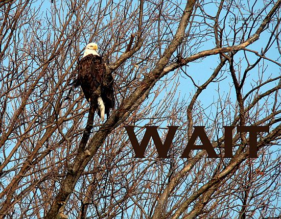 DSC01009wait560x429