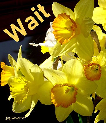 DSC01468wait365x423