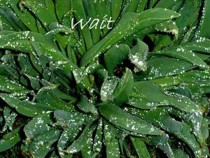 DSC01479wait560x420