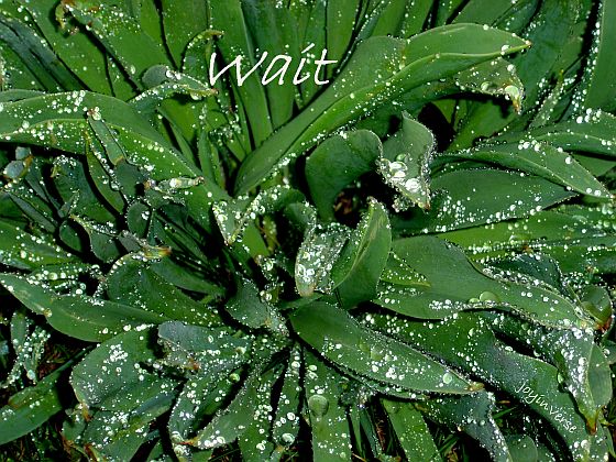DSC01479wait560x420