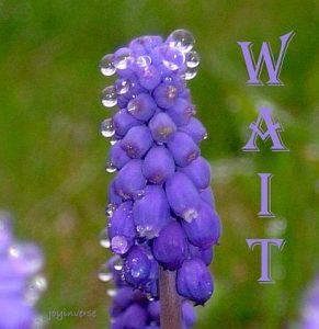 DSC01482wait410x422
