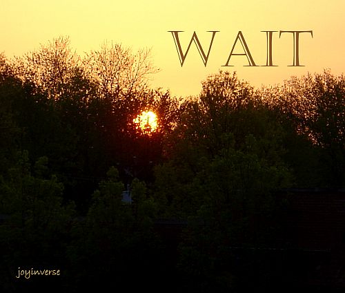 DSC01503wait500x424