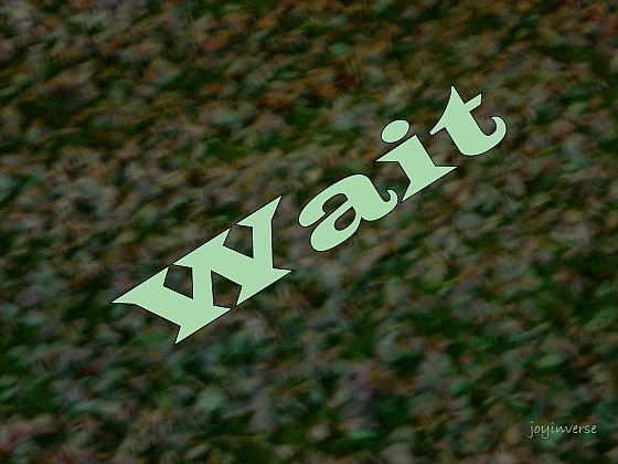 DSC01517wait560x420