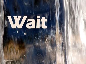 DSC02391wait560x420
