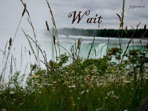 DSC03318wait560x420