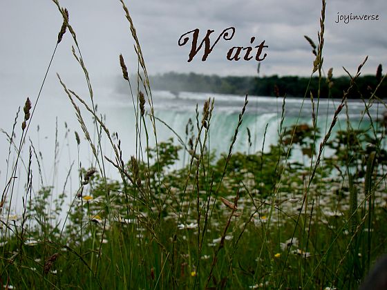 DSC03318wait560x420