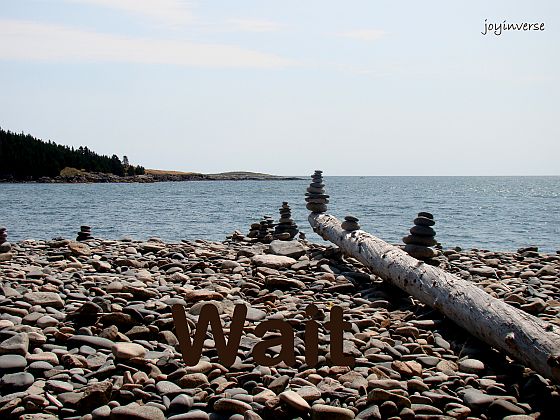 DSC04443wait560x420