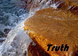DSC01374truth560x400