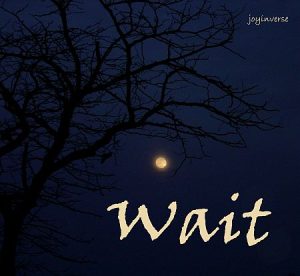 DSC01460wait450x414