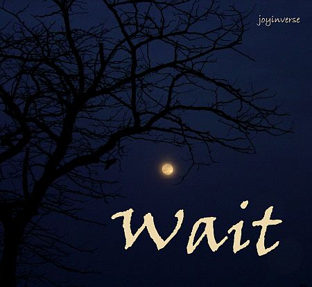 DSC01460wait450x414