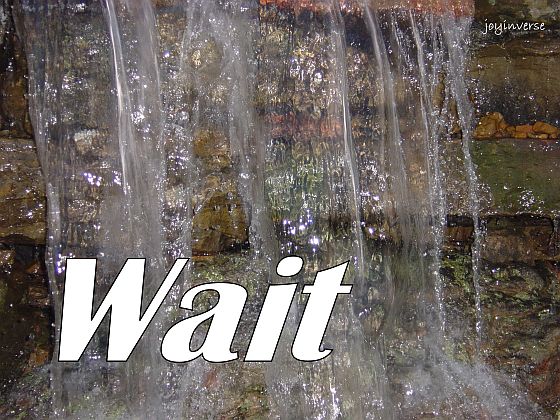 DSC01498wait560x420